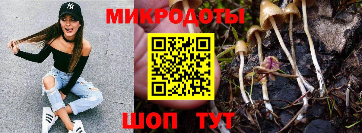 Галлюциногенные грибы Magic Shrooms  Вход с VPN  Всеволожск 