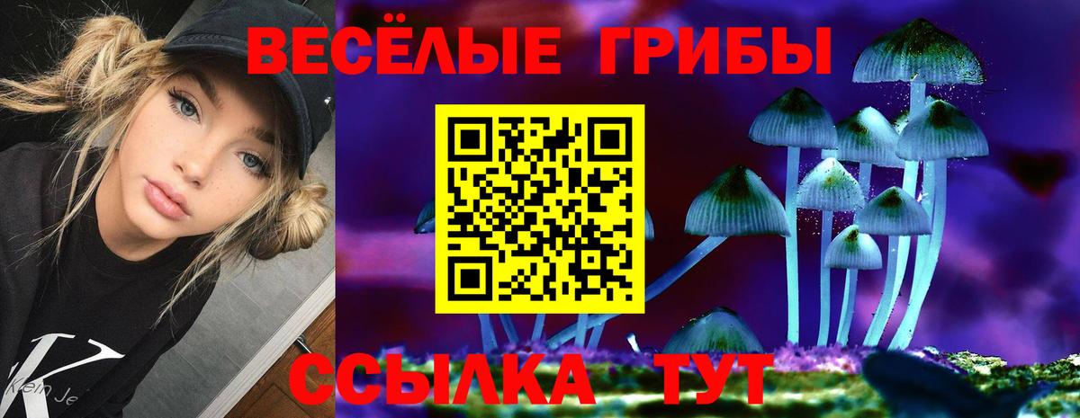 Псилоцибиновые грибы прущие грибы Всеволожск